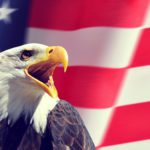 SIIA Provides Strong Response To Latest Press Release From IRS On Captive Insurance