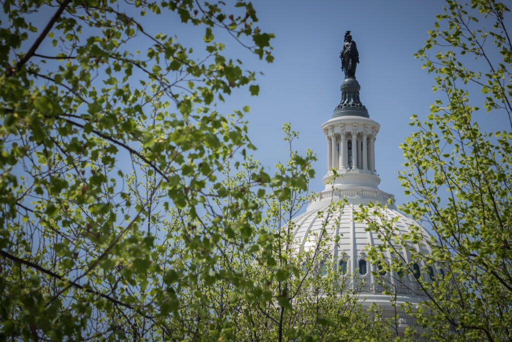 US Capitol Building Dome in Washington DC