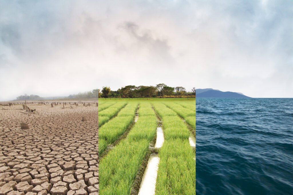 compare image with Drought, Green field and Ocean metaphor environmental exposures