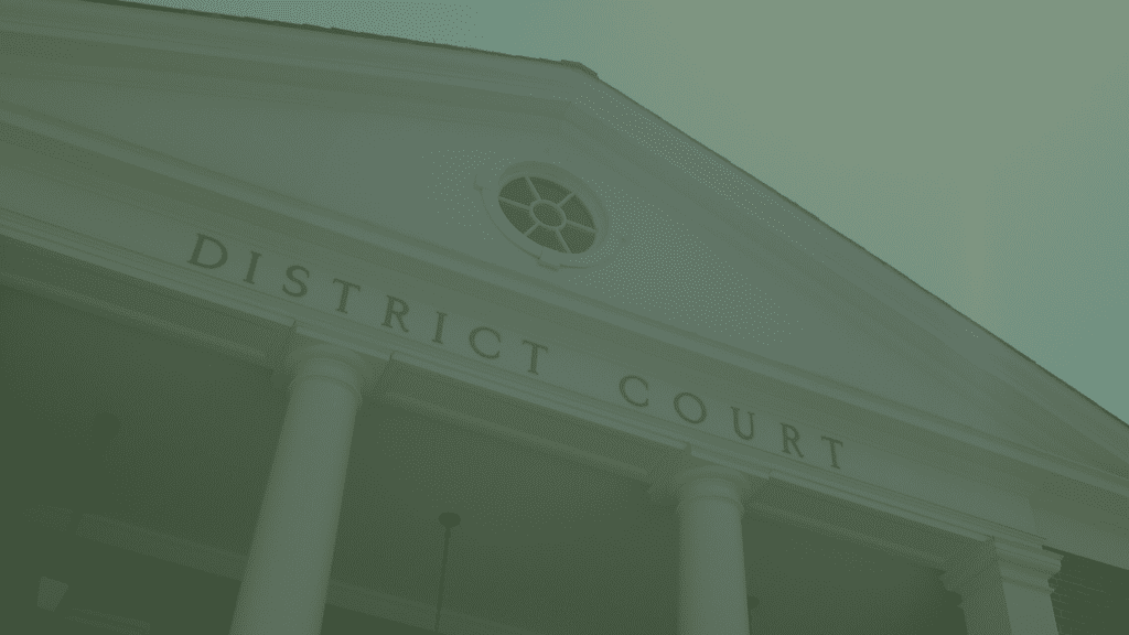 Gazing up at the pillars and roof of the district courthouse