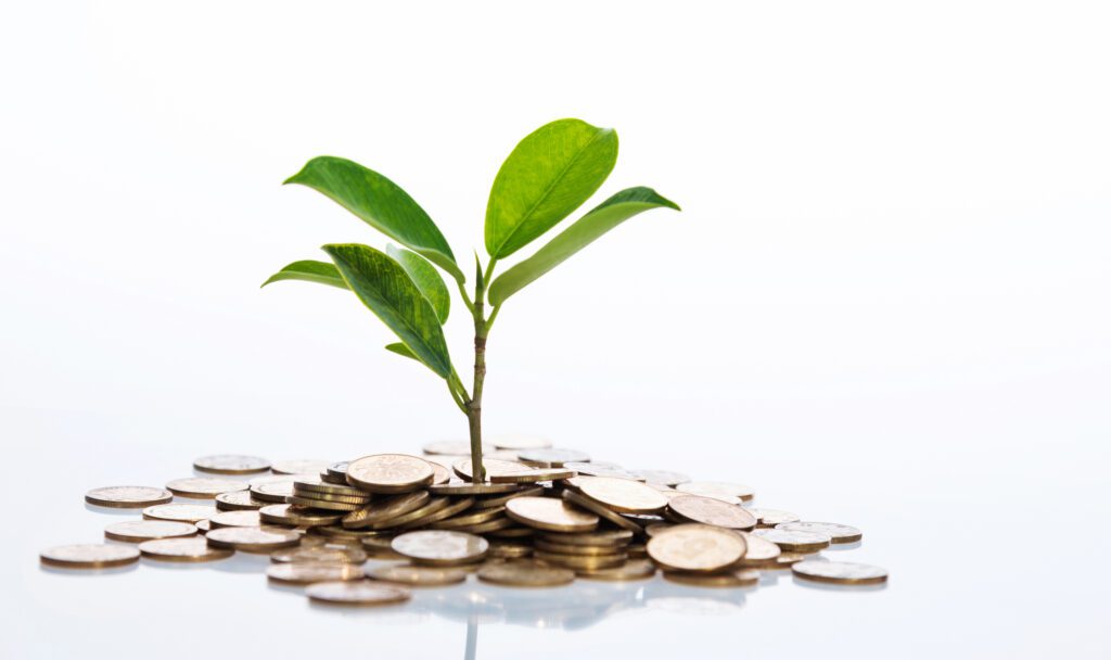 Captive Consolidation: Why Focused Management Matters More Than Ever