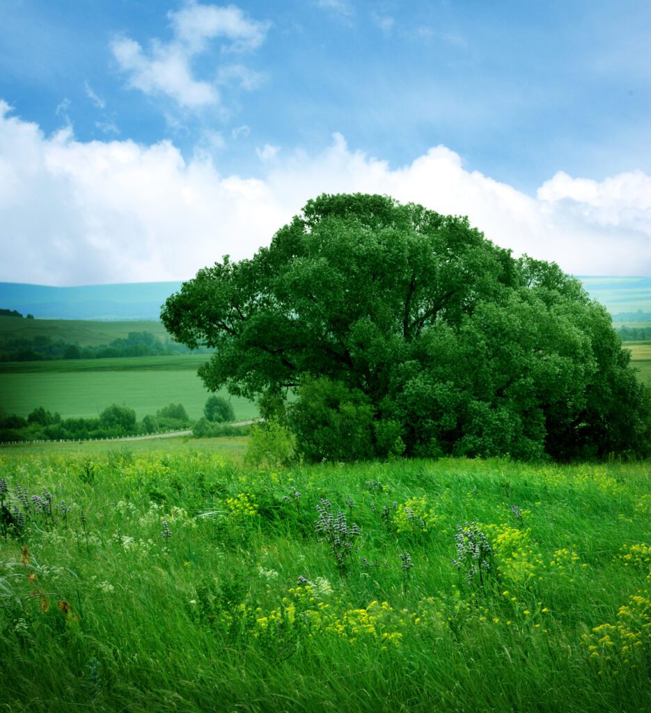 CIC Services Boosts EnviroCap with Auto, Comp, and General Liability Additions