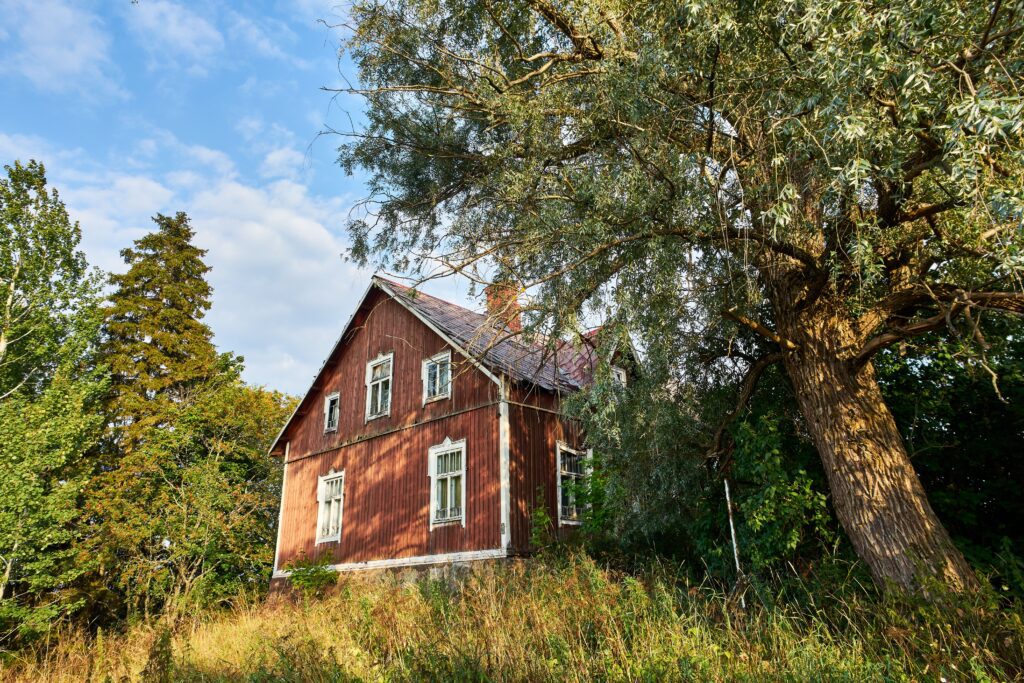 Old, rustic house nestled amongst a densely wooded forest, flanked by towering trees Old, rustic house nestled amongst a densely wooded forest, flanked by towering trees