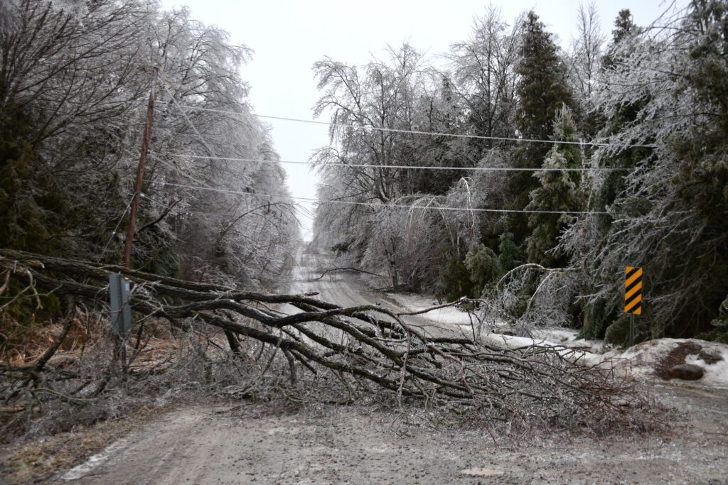 Catastrophes Push Firms Towards Captives